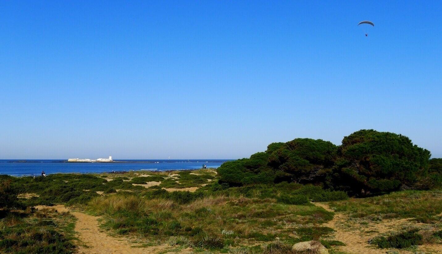 Marisma Sancti Petri Chiclana de la Frontera