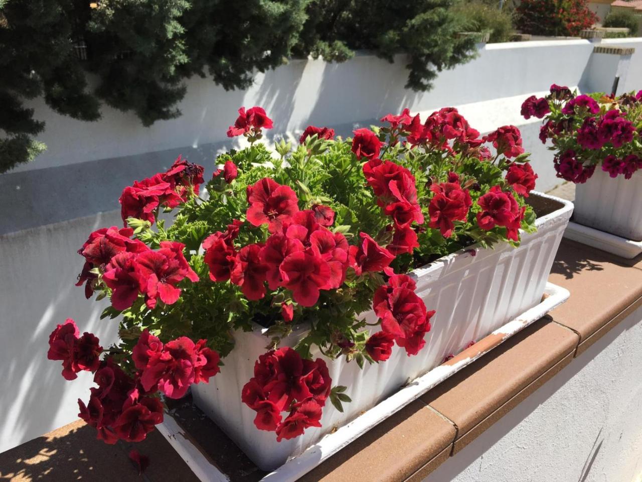 Marisma Sancti Petri Hotel 3*