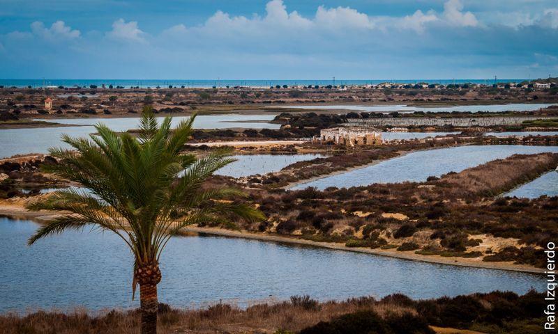 Marisma Sancti Petri Chiclana de la Frontera